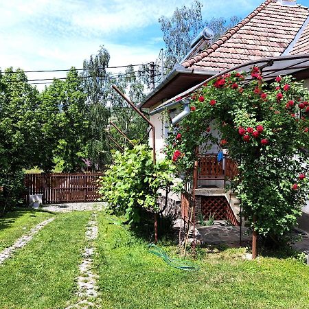 Casa de vacanta Zsenik Vendeghaz Sovata Bagian luar foto