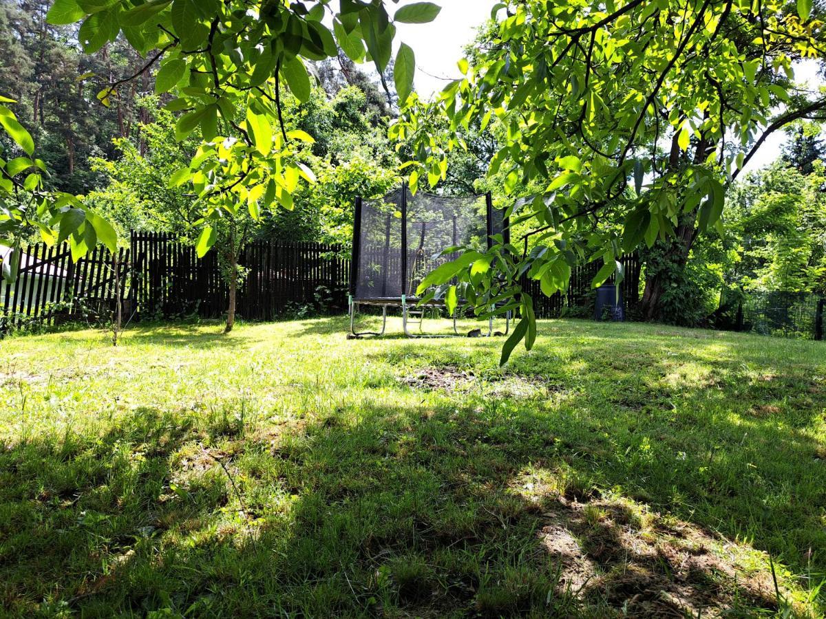 Casa de vacanta Zsenik Vendeghaz Sovata Bagian luar foto