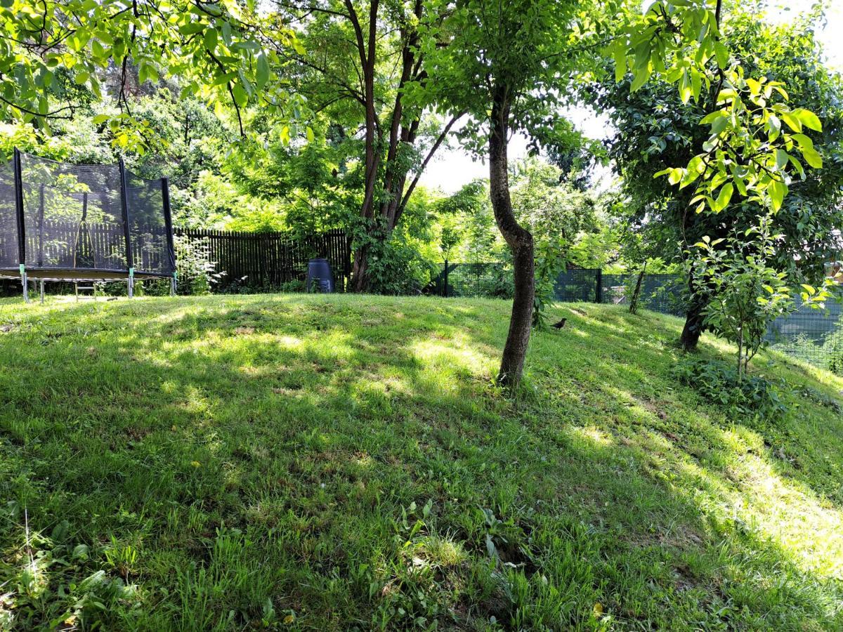 Casa de vacanta Zsenik Vendeghaz Sovata Bagian luar foto